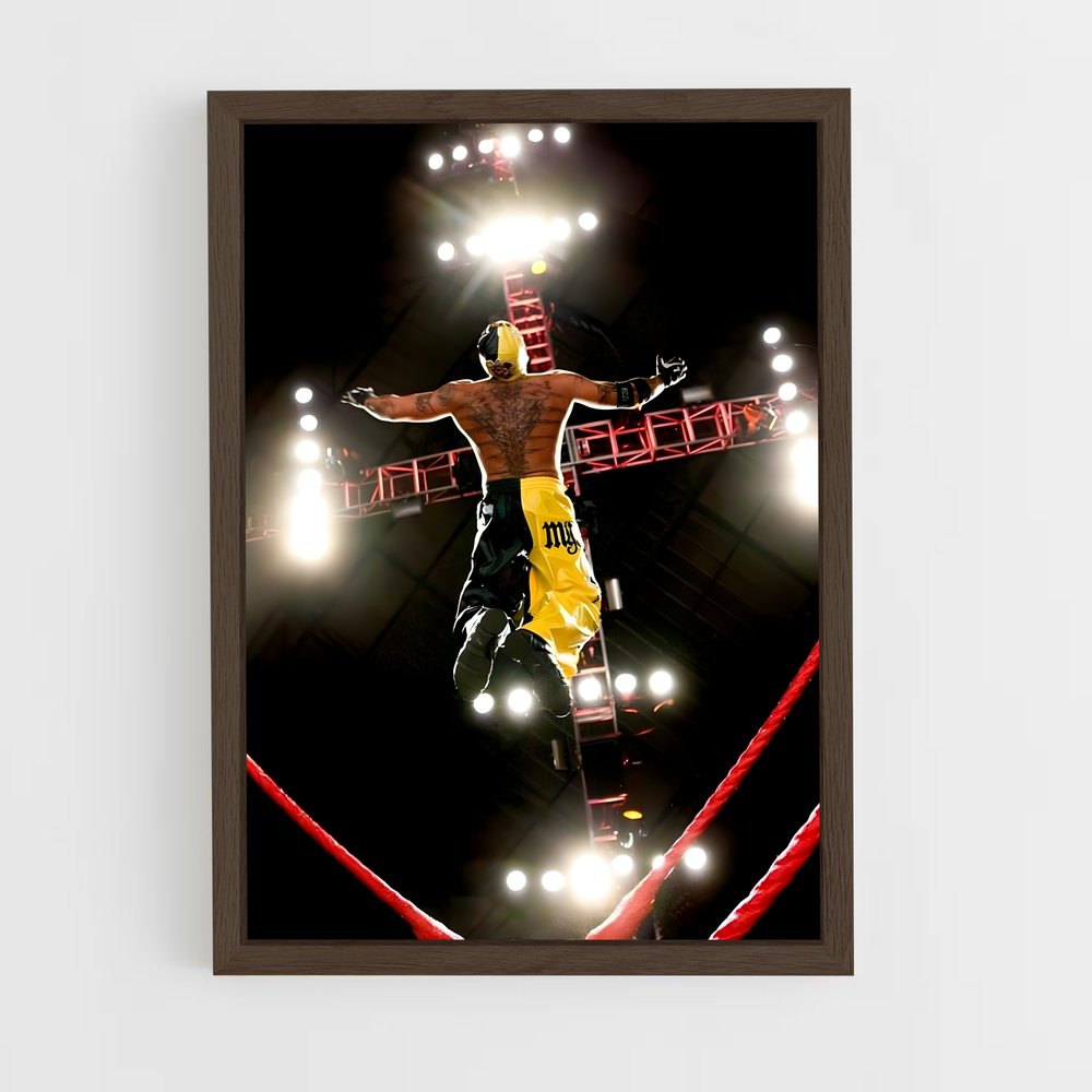 Poster Vol Suspendu (vue 5)